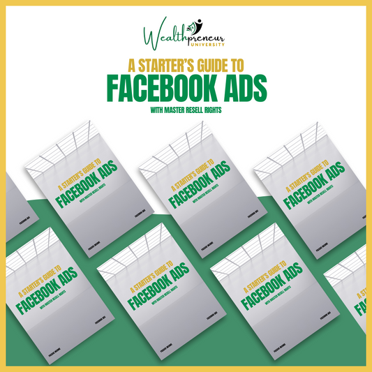 A Starter's Guide To Facebook Ads - Fully Editable in Canva with MRR!