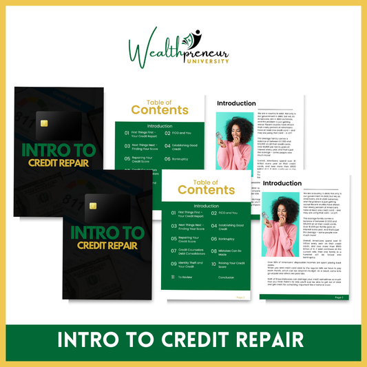 Intro to Credit Repair - Fully Editable in Canva W/MRR!